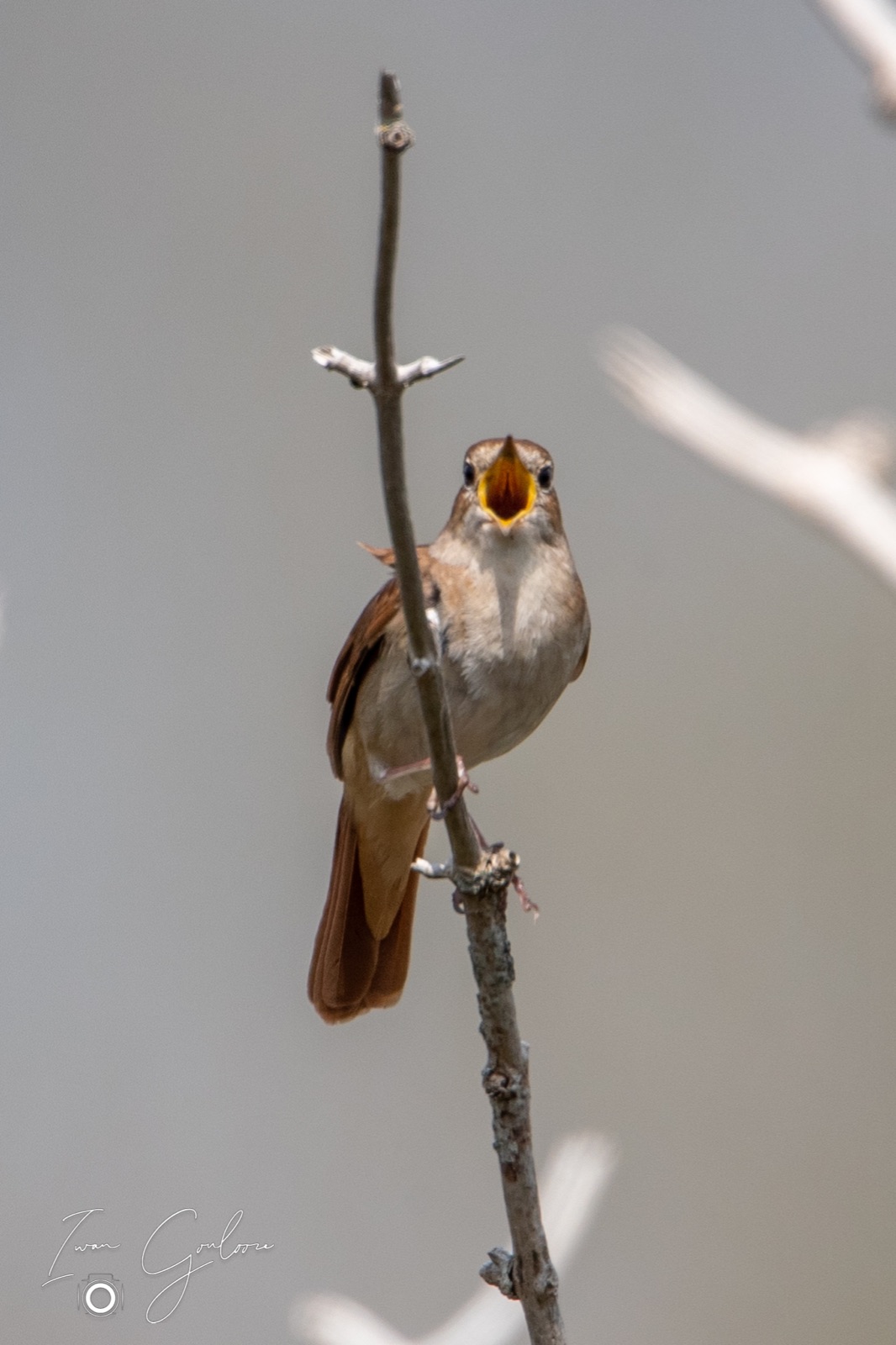 07 mei 2022 150826 1DX42230